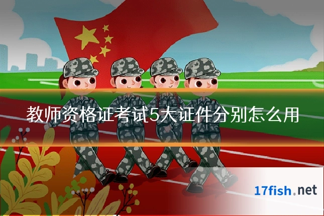 教师资格证考试5大证件分别怎么用