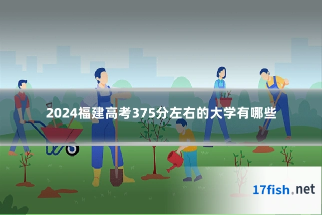 2024福建高考375分左右的大学有哪些