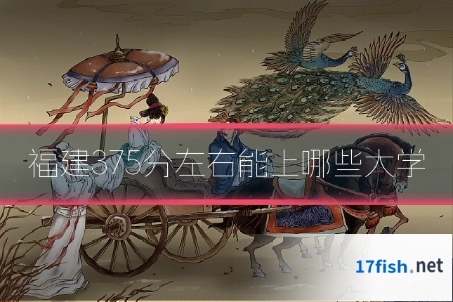 福建375分左右能上哪些大学