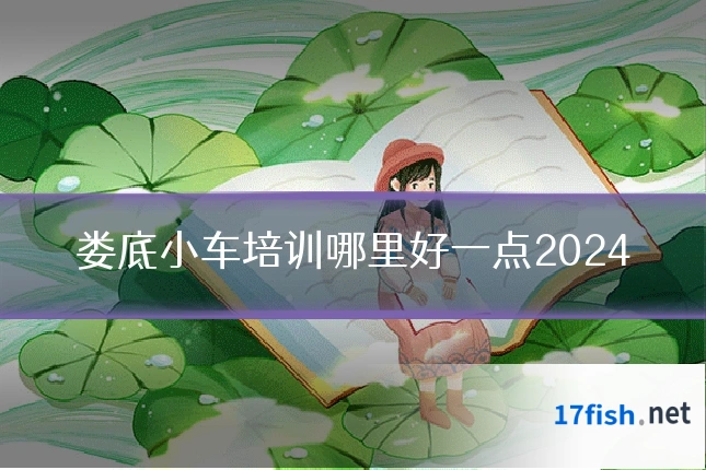 娄底小车培训哪里好一点2024