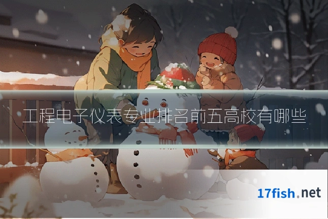 工程电子仪表专业排名前五高校有哪些