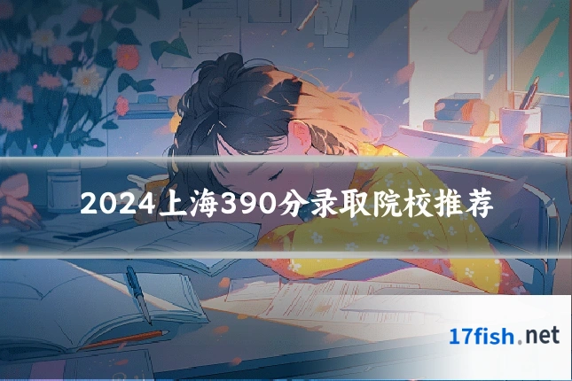 2024上海390分录取院校推荐