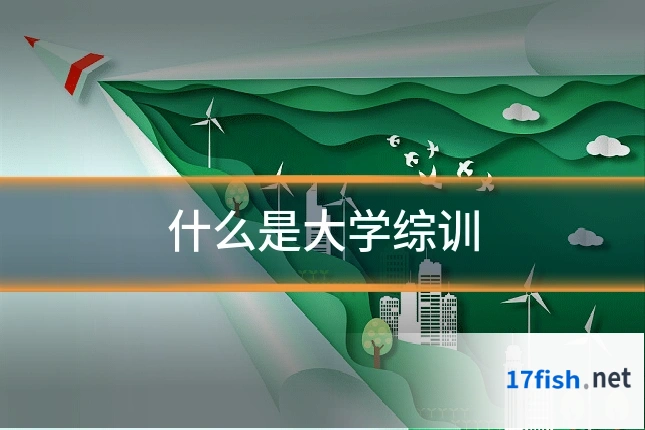 什么是大学综训
