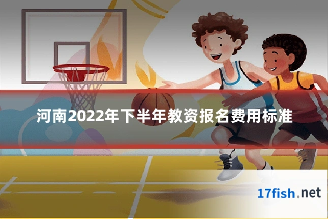 河南2022年下半年教资报名费用标准