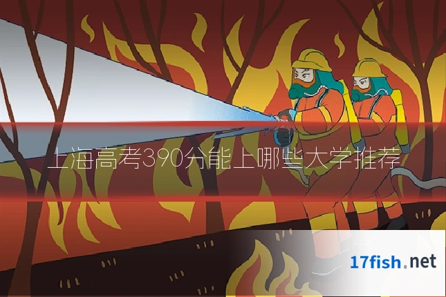 上海高考390分能上哪些大学推荐