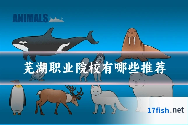 芜湖职业院校有哪些推荐