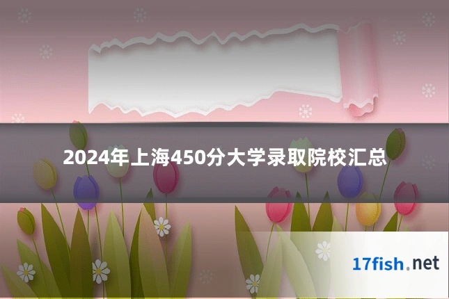 2024年上海450分大学录取院校汇总