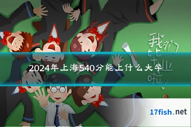 2024年上海540分能上什么大学