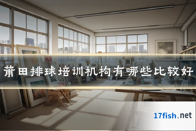 莆田排球培训机构有哪些比较好