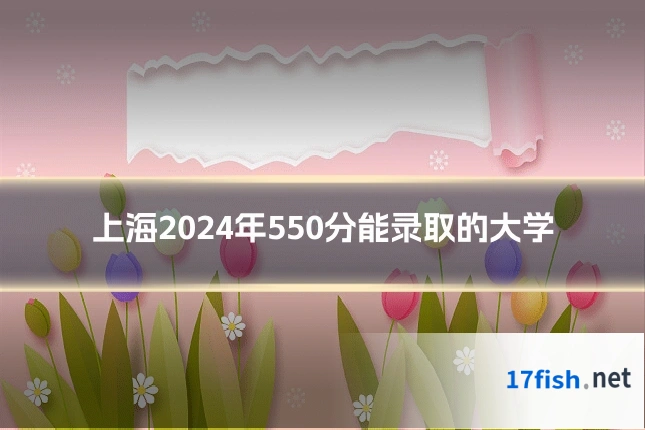 上海2024年550分能录取的大学