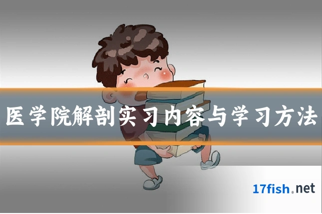 医学院解剖实习内容与学习方法