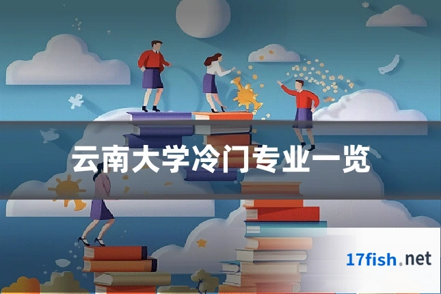 云南大学冷门专业一览