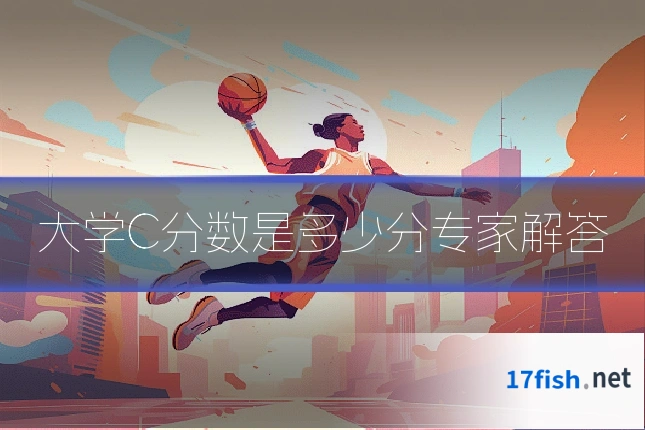 大学C分数是多少分专家解答