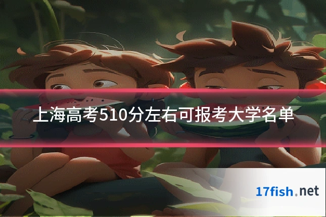 上海高考510分左右可报考大学名单