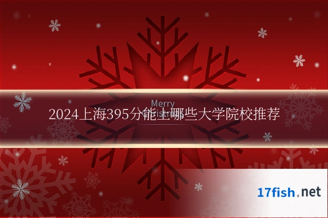 2024上海395分能上哪些大学院校推荐