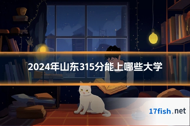 2024年山东315分能上哪些大学