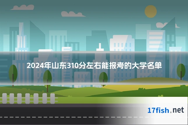 2024年山东310分左右能报考的大学名单