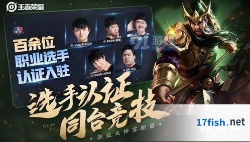 王者荣耀职业选手认证与匹配流程指南