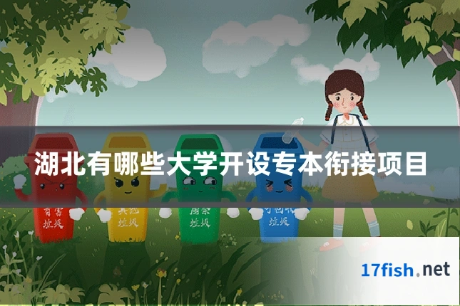 湖北有哪些大学开设专本衔接项目