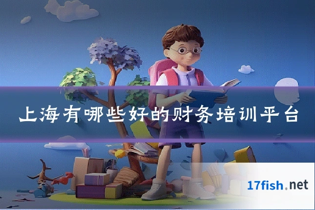 上海有哪些好的财务培训平台