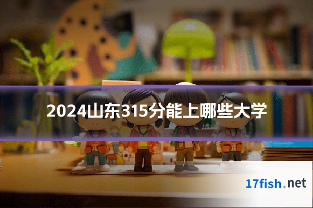2024山东315分能上哪些大学