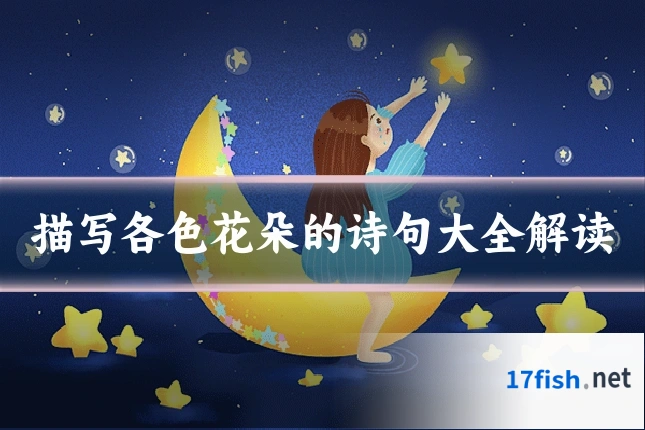 描写各色花朵的诗句大全解读