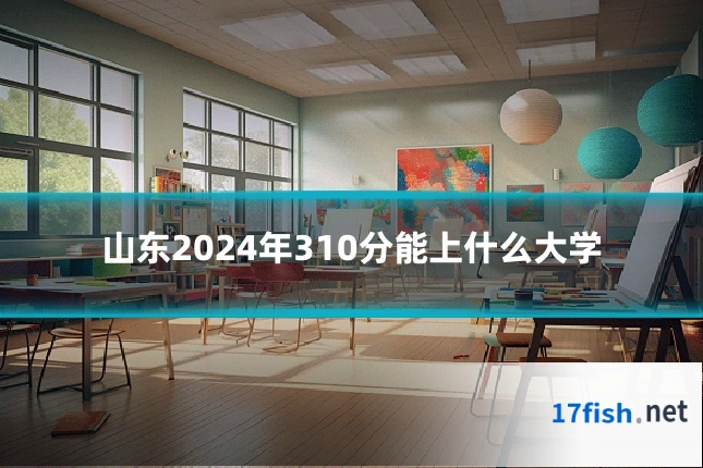 山东2024年310分能上什么大学