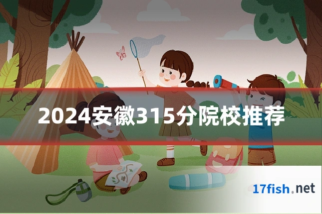 2024安徽315分院校推荐