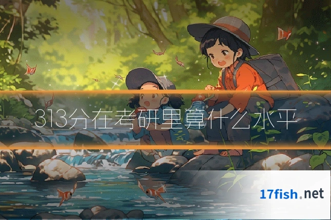 313分在考研里算什么水平