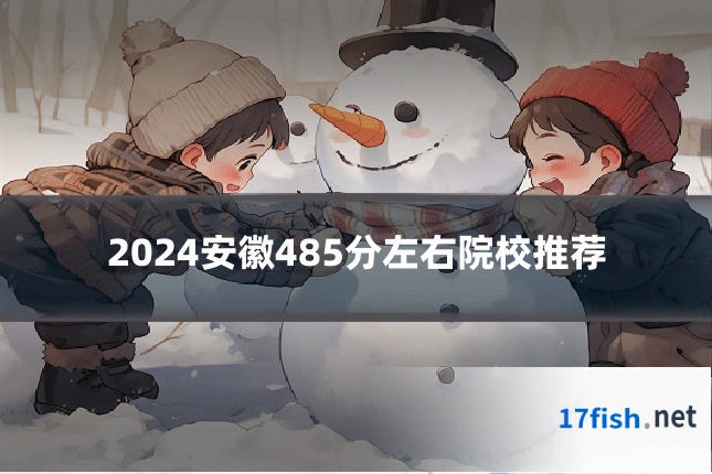 2024安徽485分左右院校推荐