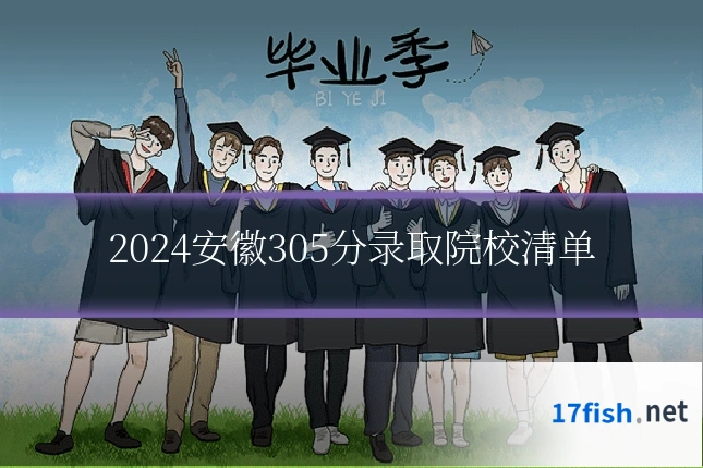 2024安徽305分录取院校清单