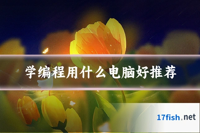 学编程用什么电脑好推荐