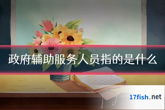 政府辅助服务人员指的是什么