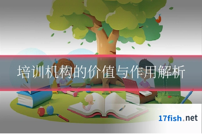 培训机构的价值与作用解析