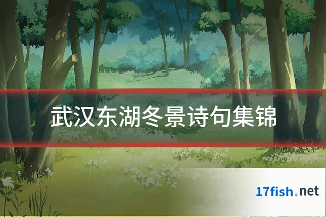 武汉东湖冬景诗句集锦