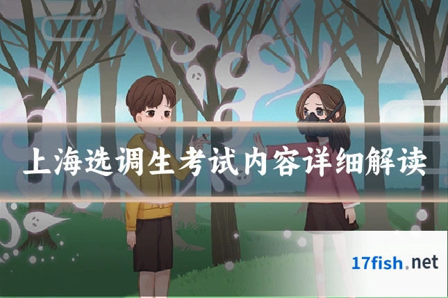 上海选调生考试内容详细解读