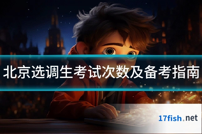 北京选调生考试次数及备考指南