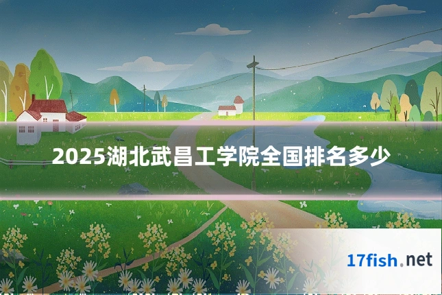 2025湖北武昌工学院全国排名多少