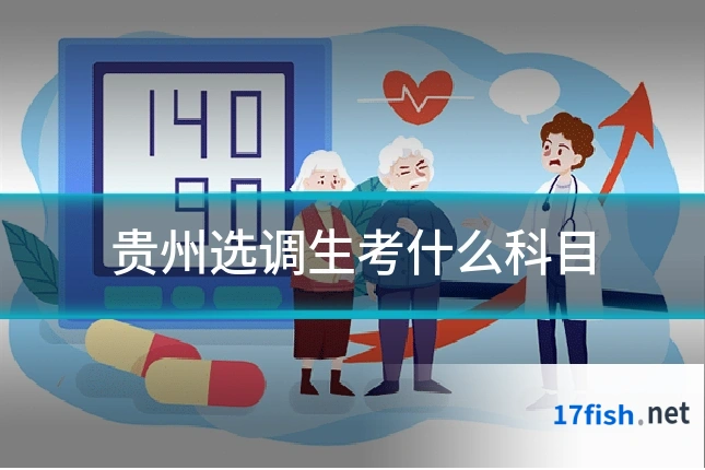 贵州选调生考什么科目