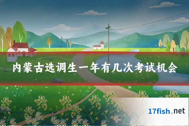 内蒙古选调生一年有几次考试机会