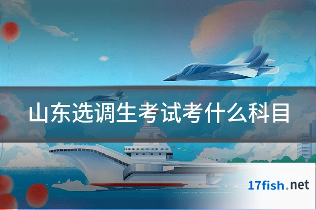 山东选调生考试考什么科目