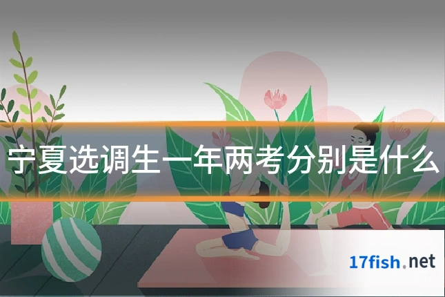宁夏选调生一年两考分别是什么