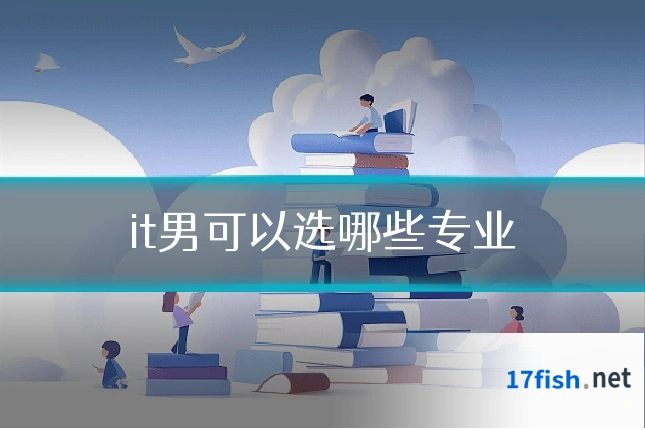it男可以选哪些专业