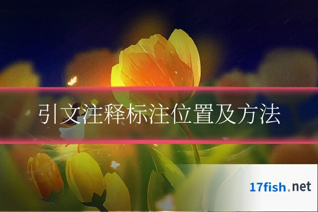 引文注释标注位置及方法