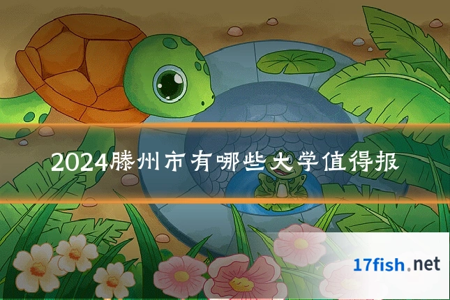 2024滕州市有哪些大学值得报