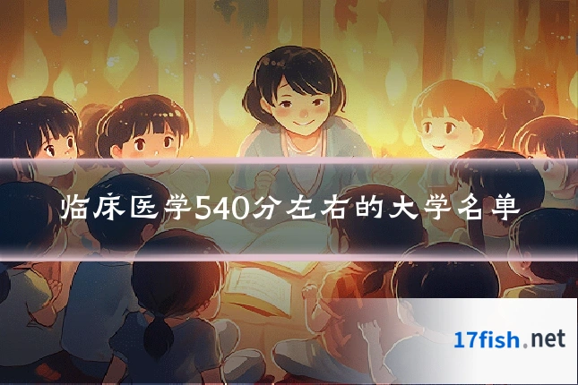 临床医学540分左右的大学名单