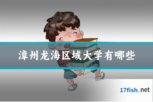 漳州龙海区域大学有哪些