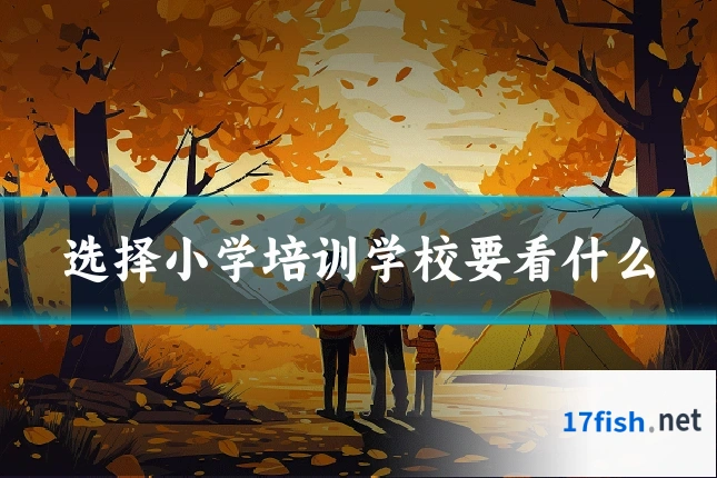 选择小学培训学校要看什么