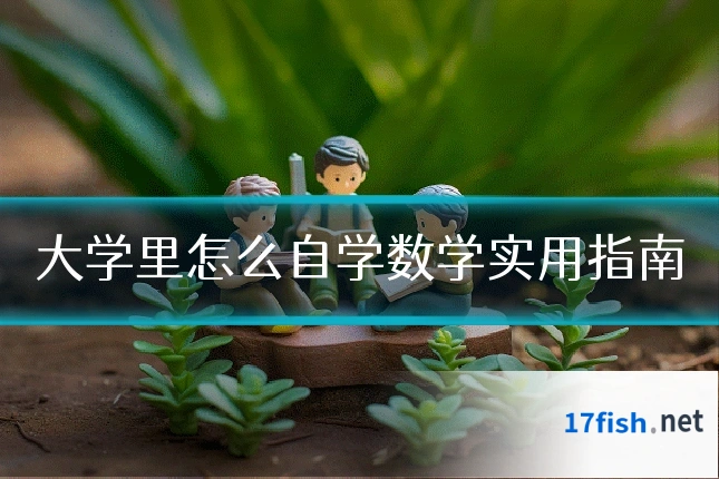 大学里怎么自学数学实用指南