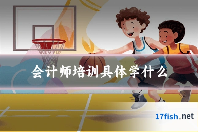 会计师培训具体学什么